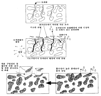 동결융해에 의한 콘크리트의 균열 및 열화