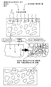 산의 침투에 의한 콘크리트의 열화 메카니즘