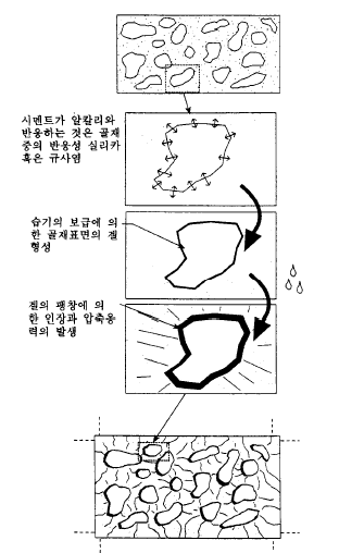 알칼리 골재 반응에 의한 균열