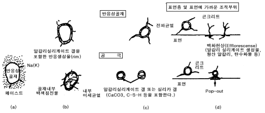 알칼리 골재 반응의 진행 모델