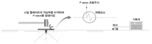 P wave 발생 모식도