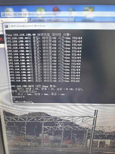Ping test 사진