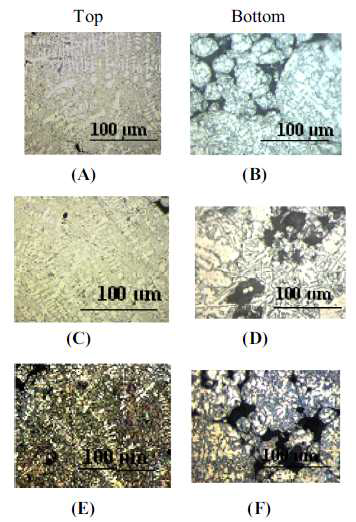 공정 조건 변화와 위치에 따른 SLM 진행된 AlSi12 Powder의 미세 조직 특성. (A and B) 100 J/mm3 (C and D) 67J/mm3 (E and F) 50 J/mm3