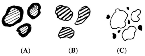 Binary Liquid Phase SLS 에 사용되는 재료 형태 (A) coated grains, (B) composites grains, (C) separate grains