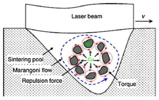 W-Cu 2 Phase Direct SLS 공정에서의 Marangoni 유동 개략도
