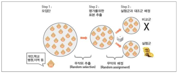 무작위 배정 단계