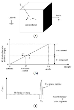 평판형 전극을 사용한 일반적인 반도체 검출기 (a) 검출기 개요도 (b) 양극의 weighting potential (c) 특정 에너지에 대한 예상 에너지 스펙트럼
