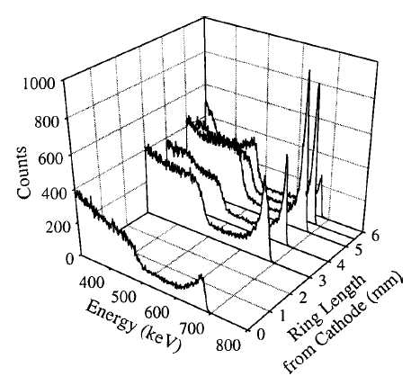 3×3×6 mm3 non-contacting virtual Frisch-grid CZT 검출기에서 차폐전극의 두께에 따른 137Cs의 에너지 스펙트럼