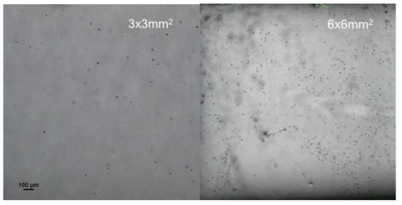 CZT, Te의 온도를 각각 540, 380°C 설정하여 60시간(좌), 120시간(우) 열처리 후 획득한 적외선 투과 현미경 사진