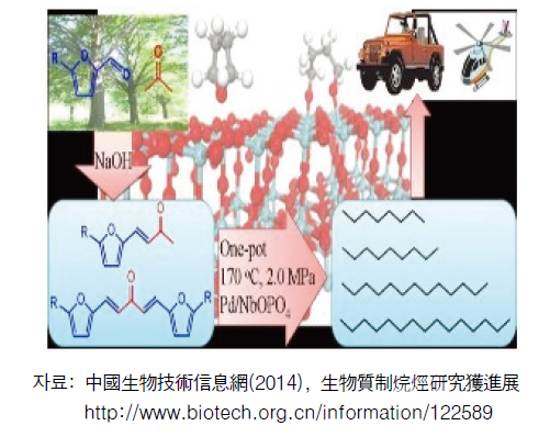 바이오매스 효율성 촉매 전환 합성 바이오매스 에너지