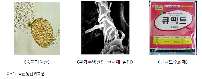 “큐펙트수화제” 작용 기작