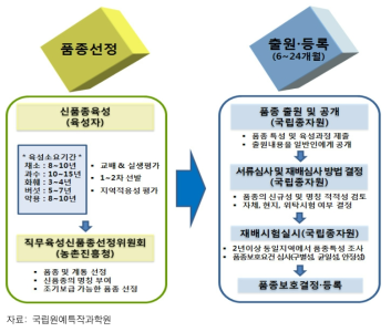 원예특용작물 품종선정, 품종출원 및 등록 절차