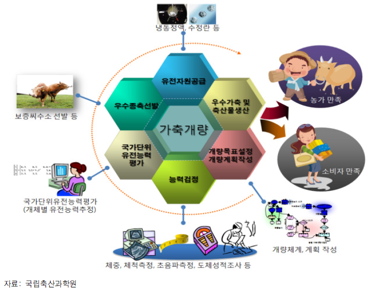 가축개량의 순환체계