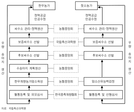 한우･젖소 개량체계