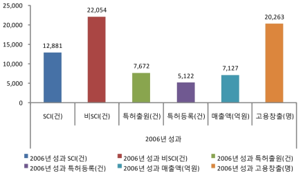 2006년도 산출 성과