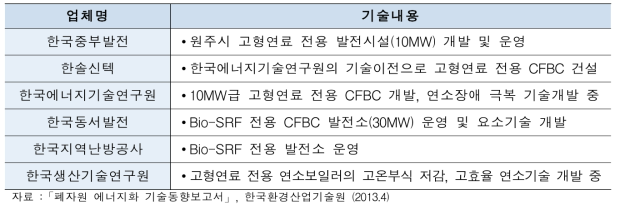 국내 고형연료 전용 발전기술 개발 사례