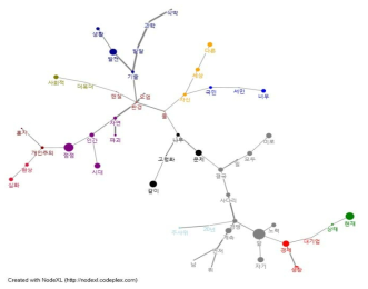 부정-부정 그룹의 미래 NodeXL맵