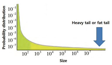 복잡계의 멱법칙 분포함수와 두터운 꼬리
