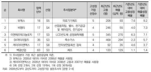 사업전략(원가우위) 고성장기업의 개요(매출성장배율 순)