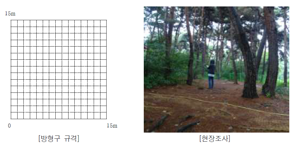 훼손지 주변 식생 방형구 조사