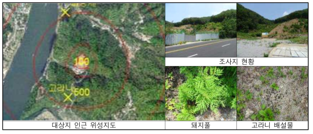 삼회리 현황 및 출현종