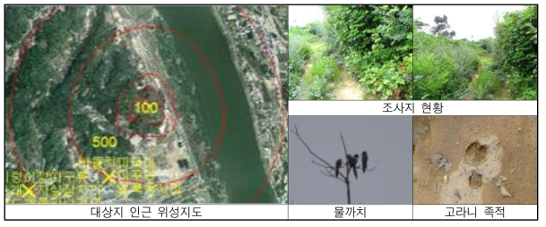 금사리 현황 및 출현종