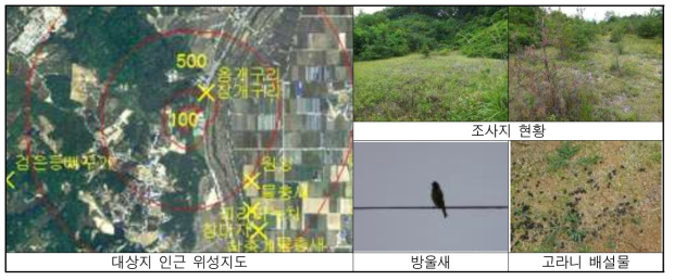 신남리 현황 및 출현종