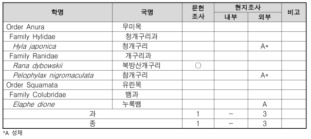 금사리 양서파충류 조사 결과