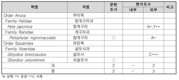 고담동 양서파충류 조사 결과