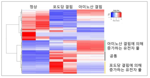 포도당 결핍과 아미노산 결핍에 의한 RNA-sequencing분석