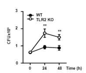 TLR2 신호전달 기전을 통한 결핵균 생존 억제 효과