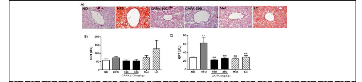 Effects of CAPA extract on lipid accumulations in livers