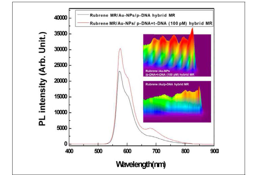 Rubrene/Au-NP 하이브리드 나노선에 초미량 (100 pM) 바이오 물질을 접합한 경우 측정된 PL 스펙트럼 비교