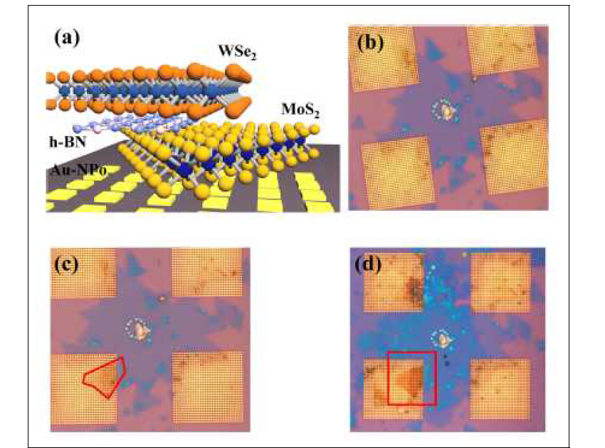 Transfer 방법을 이용한 MoS2/h-BN/WSe2 하이브리드 구조체 제작 과정