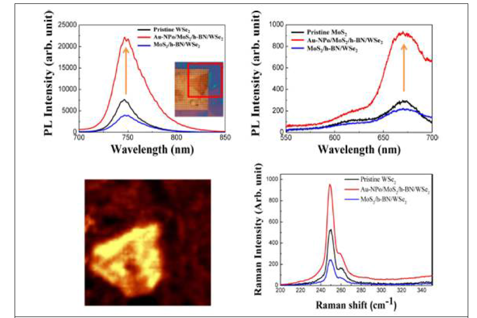 Pristine MoS2와 WSe2, MoS2/WSe2, Au-NPo/MoS2/h-BN/WSe2 하이브리드 구조체의 나노광학특성