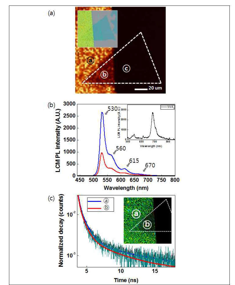 (a) MoS2/tetracene 하이브리드의 LCM PL mapping 이미지. 삽입그림: MoS2/tetracene 하이브리드의 광학 현미경 이미지. ⓐ: pristine tetracene, ⓑ: MoS2/tetracene 하이브리드 ⓒ: pristine MoS2. (b) Tetracene 박막 (파랑 곡선)과 MoS2/tetracene 하이브리드 (빨강 곡선)의 LCM PL 스펙트럼. 삽입그림: MoS2의 LCM PL 스펙트럼. (c) Tetracene (파랑 곡선)과 MoS2/tetracene 하이브리드 (빨강 곡선)의 시간 분해 Tr-PL 스펙트럼. 삽입그림: 시간 분해 PL mapping 이미지