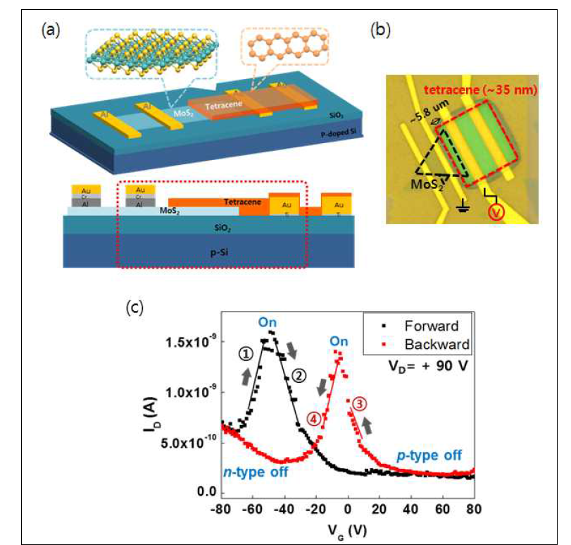 (a) MoS2/tetracene n-p 이종접합 트랜지스터의 모식도. 삽입그림: MoS2와 tetracene의 분자구조. (b) MoS2/tetracene n-p 이종접합 트랜지스터의 광학 현미경 이미지. 검정 삼각형: MoS2, 빨강 사각형: tetracene (두께: 약 35 nm) (c) 드레인 전압 90 V에서 트랜지스터의 trsnsfer 특성 곡선