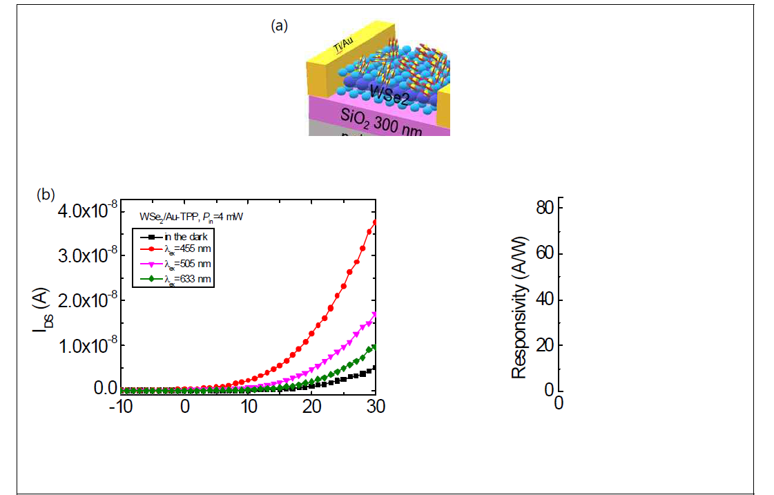 (a) WSe2와 Au-TPP 하이브리드 photodetector 소자 개념도 (b) 입사 파장과 세기에 따른 photodetector의 전하 전달 특성 (transfer characteristics) 및 빛 반응성