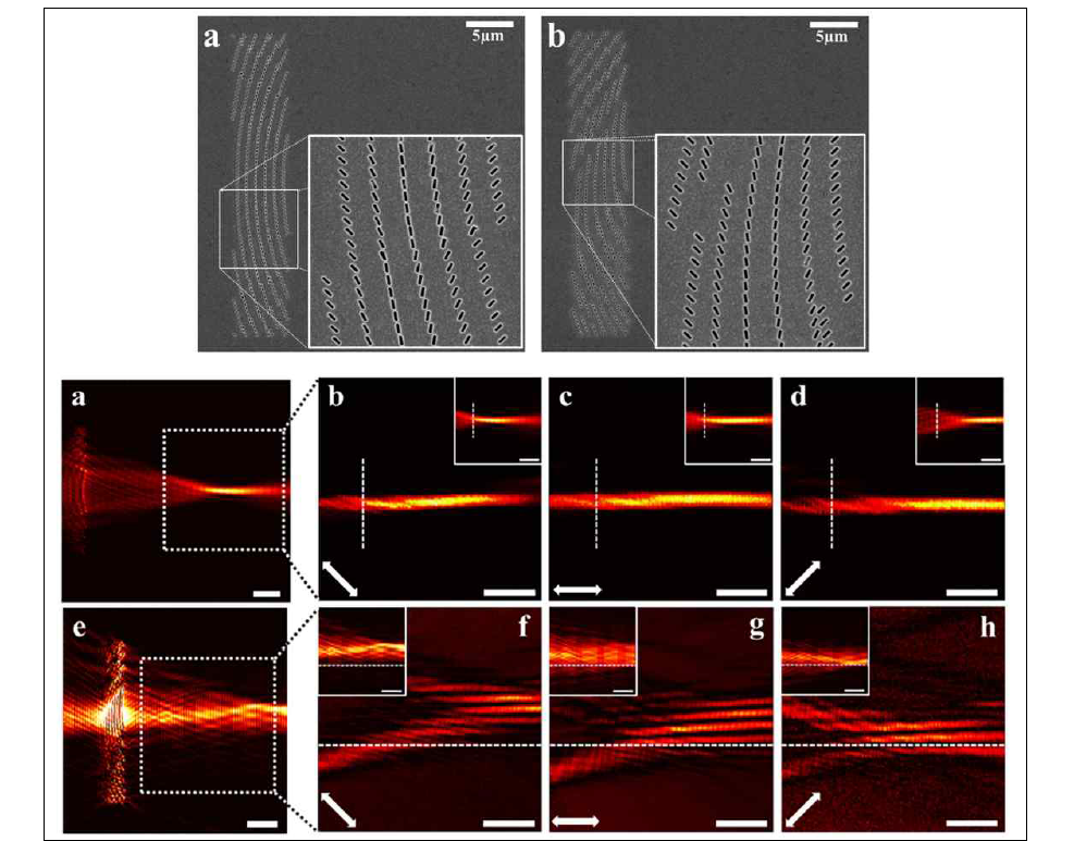 표면 플라즈몬의 복소 제어를 위한 나노 슬릿 구조 배열의 현미경 샘플 사진 (상) 및 편광에 따른 표면 플라즈몬 파면의 변화에 대한 근접장 실험 측정 결과 (하) 2개의 샘플은 하나의 초점을 갖는 표면 플라즈몬 렌즈로 설계되었으며, 입사하는 빛의 편광이 연속적으로 변화함에 따라서 각각 가로 방향 혹은 세로 방향으로 초점의 위치가 연속적으로 변화하도록 설계됨