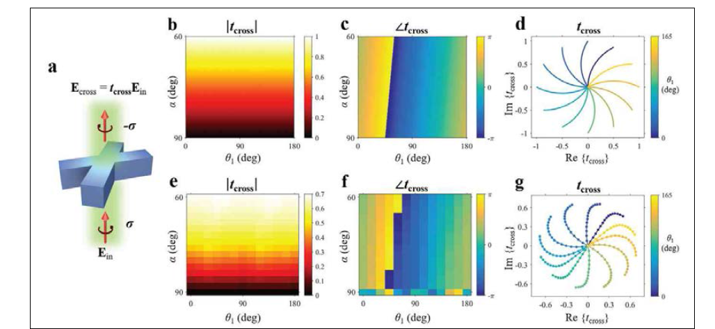 X자 구조를 통한 투과에 대한 이론적 계산 (상) 및 시뮬레이션 결과 (하). X자 구조 전체적으로 기울어진 각도 θ1과 두 팔 사이의 각도 α가 각각 변화할 때, 투과의 진 폭은 α에 대해서 비례하여 변하며, 위상은 이 둘의 합에 의해서 변화를 나타냄. 또한, 이 복소 값들을 복소 평면상에 나타내는 그래프를 통해 모든 복소 평면을 채우는 것이 가능한 것을 보여주고 있음