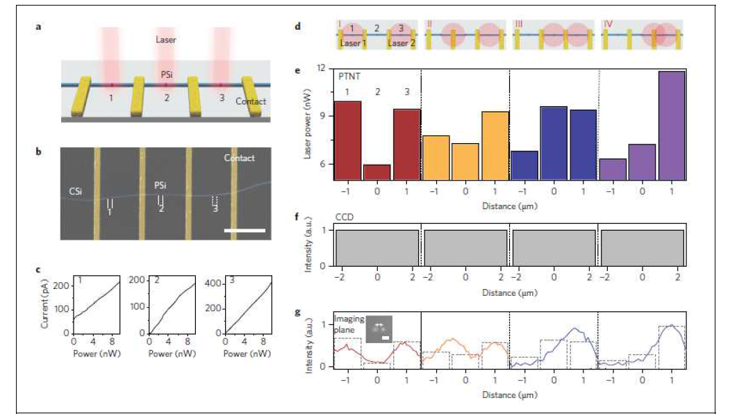 나노선 트랜지스터 (PTNT)를 이용한 광검출 시스템. (a) PTNT를 이용한 광검출 시스템의 모식도 (b) PTNT를 이용한 광검출 소자의 SEM 이미지 (c) 입사한 레이저의 세기에 따른 PTNT의 전류반응 (d),(e) 광검출 시스템에 입사시킨 레이저의 모식도와 공간적 반응특성 (f) 보편적인 CCD의 공간적 반응특성 (g) 광검출 시스템이 측정한 intensity profile
