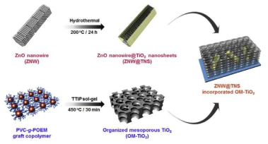ZNW@TNS의 합성 및 PVC-g-POEM 가지형 공중합체를 이용한 OM-TiO2 광전극 제조의 합성 모식도