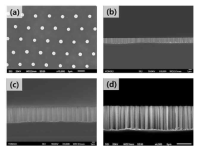 정렬 Nanowire SEM images; (a) top view, (b) cross view(2 μm), (c) cross view (5 μm), (d) cross view (7 μm)