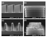 Micropillar, 및 Micro/nano 복합 구조 표면의 SEM 이미지. (a) Micropillar 구조, (b) Micropillar tip, (c) Micr/nano 복합구조, (d) Micro/nano 복합구조 tip