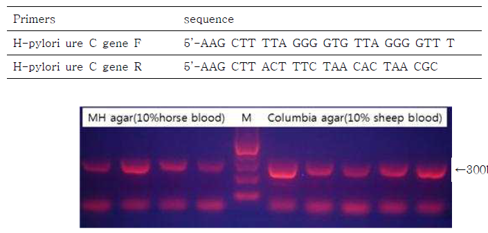 H.pylory colony PCR Co#1-5 2-