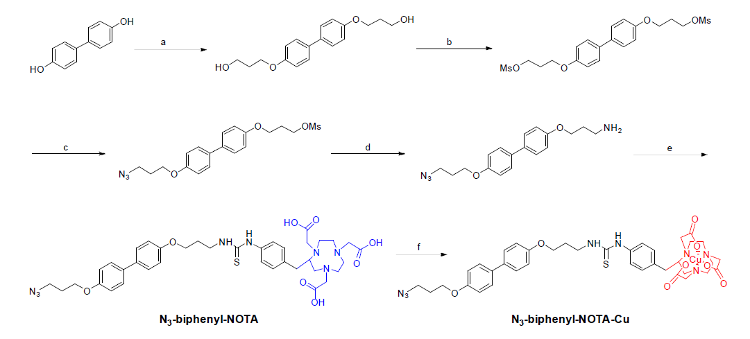 Reaction condition; a) 3-bromo-1-propanol, K2CO3, acetone, 90˚C, 24 h; b) MsCl, TEA, CH2Cl2, room temp, 5 h; c) NaN3, acetonitrile, 100˚C, 5 h; d) (i) phthalimide potassium salt, acetonitrile, 100˚C, 24 h, (ii) hydrazine, room temp, 6 h; e) p-SCN-Bn-NOTA, TEA, DMSO, room temp, 12 h; f) CuCl2, 1M sodium acetate, 50˚C, 10 min