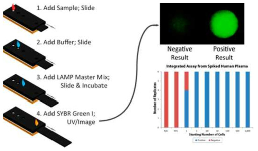 “Paper Machine” for molecular diagnostics, Anal Chem, 2015, 87, 7595