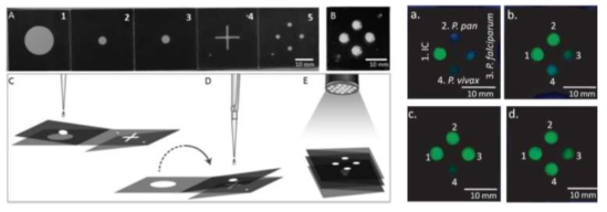 Paper-origami-based multiplex malaria diagnostics from whole blood, Angew. Chem. Int. Ed, 2016, 55, 15250