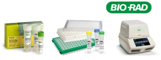 Real-time PCR kit (Bio-Rad)