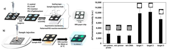 본 연구진의 중합효소 기반 등온증폭반응 (RPA) 이 적용된 등온 증폭용 페이퍼칩 제작 기술(Analytical chemistry, 2018, 90, 10211)